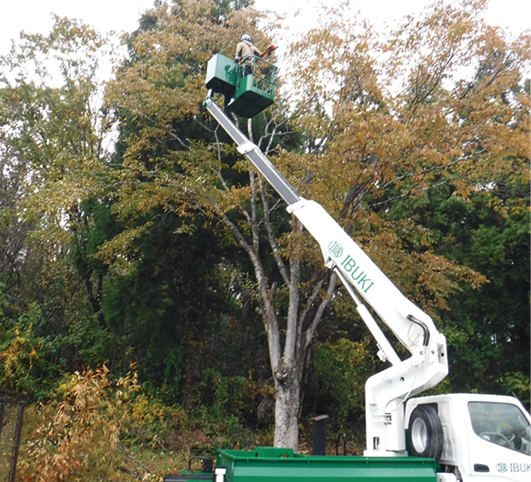 株式会社いぶき