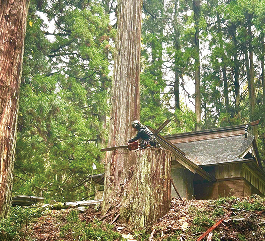株式会社いぶき