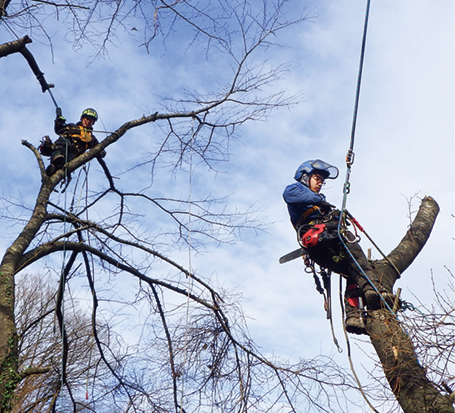 株式会社いぶき