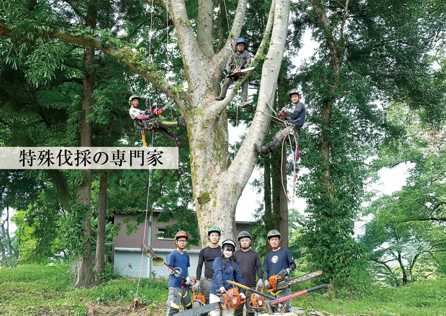 株式会社いぶき