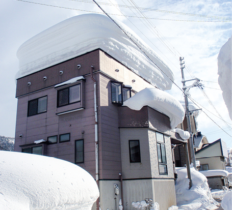 家’Sハセガワ株式会社