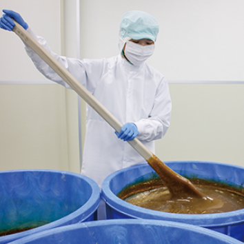 株式会社ミヤトウ野草研究所：お仕事風景02