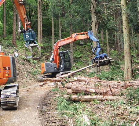 くびき野森林組合