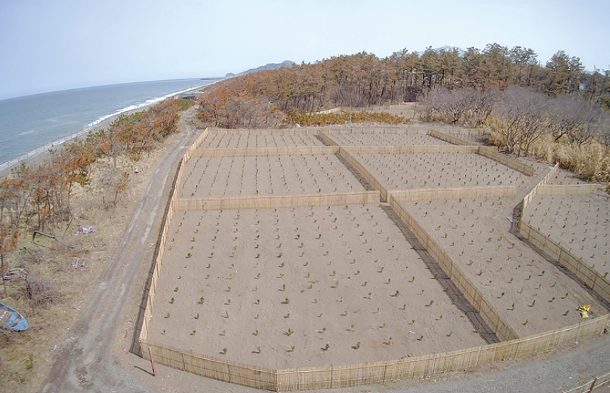 グリーンインフラの整備