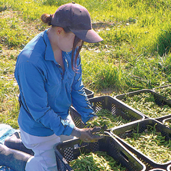 株式会社澤井商事:お仕事風景02