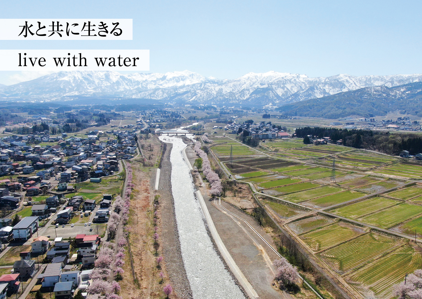 株式会社雲田商会