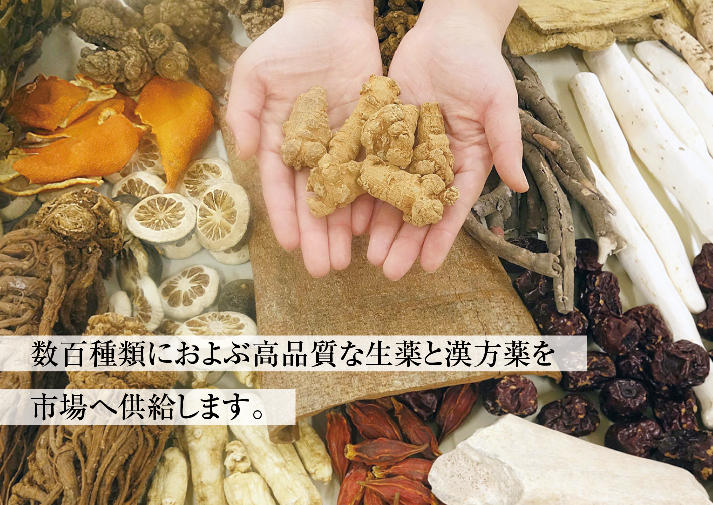 株式会社ウチダ和漢薬 新潟工場