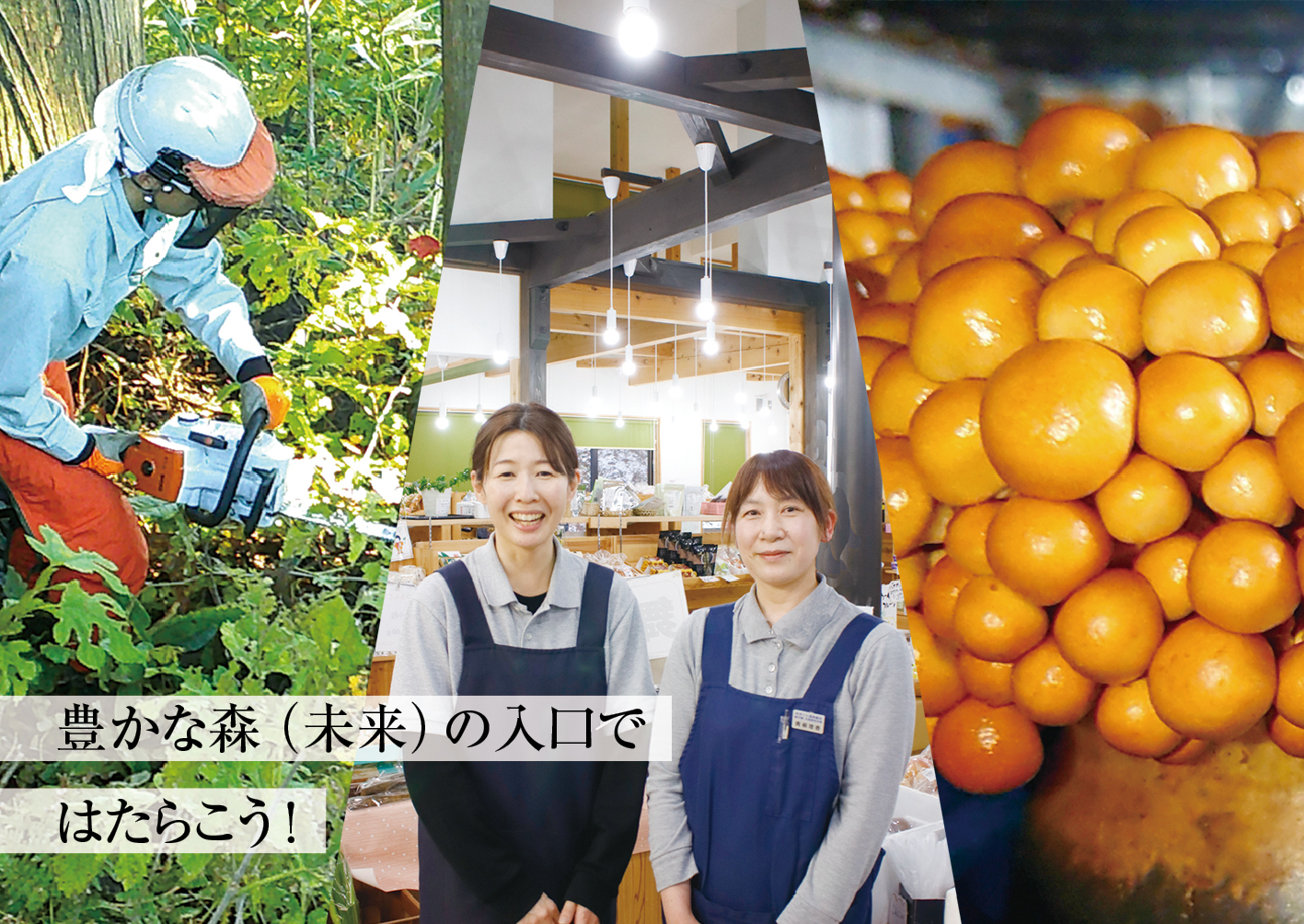 ゆきぐに森林組合